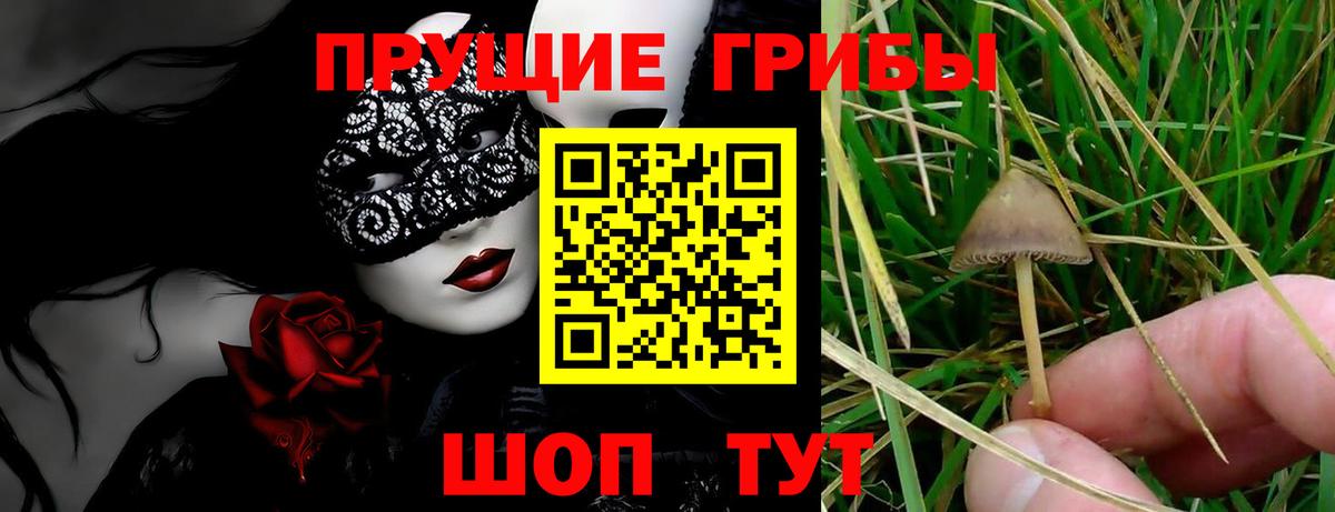 Обь  Псилоцибиновые грибы мухоморы  Вход с VPN 